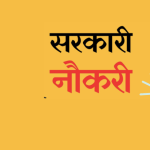Government Job