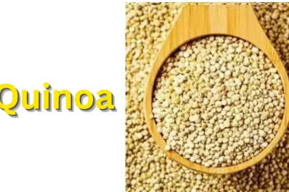 Quinoa in Hindi