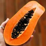 bb7mmi1 papaya 640x480 22 July 23