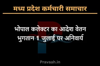 Goverment Employe Salary News