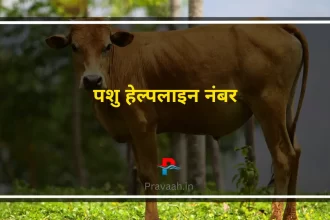 Pashu Helpline Number
